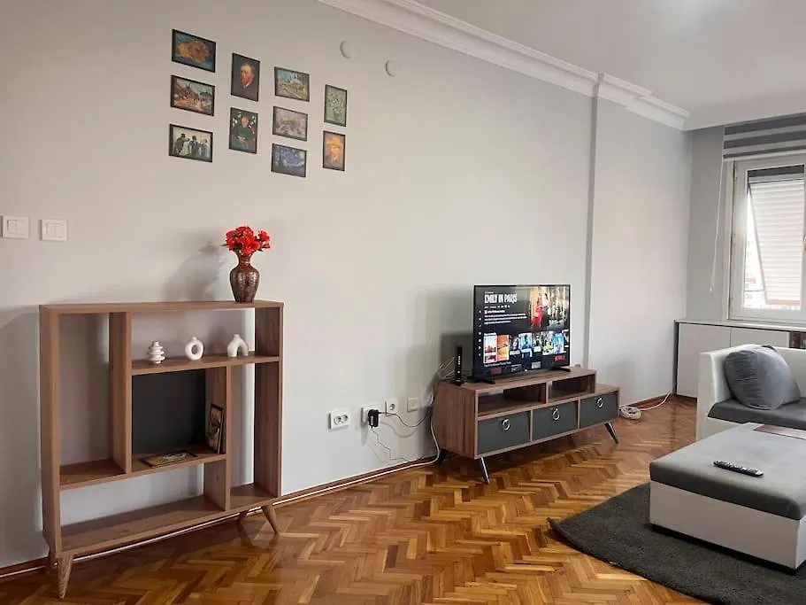 Apartment Spacious Flat With Wide View Istanbul Turkey