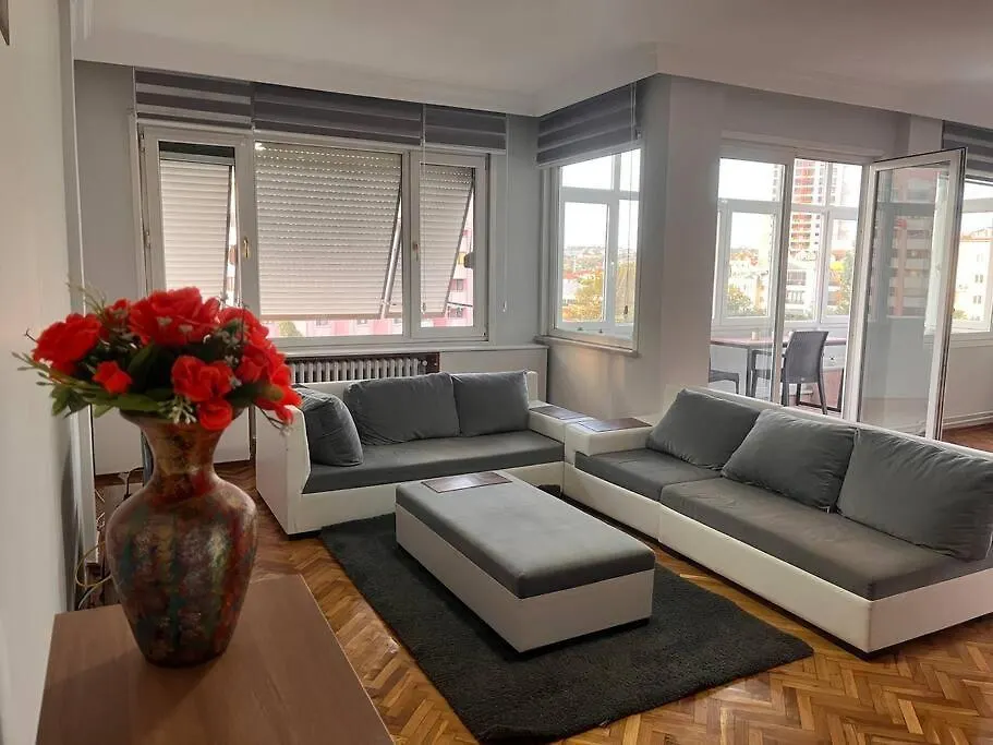 Spacious Flat With Wide View contacts